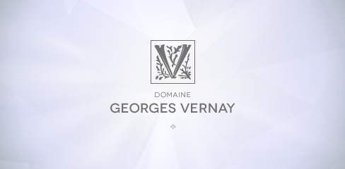 Domaine Georges Vernay – le site